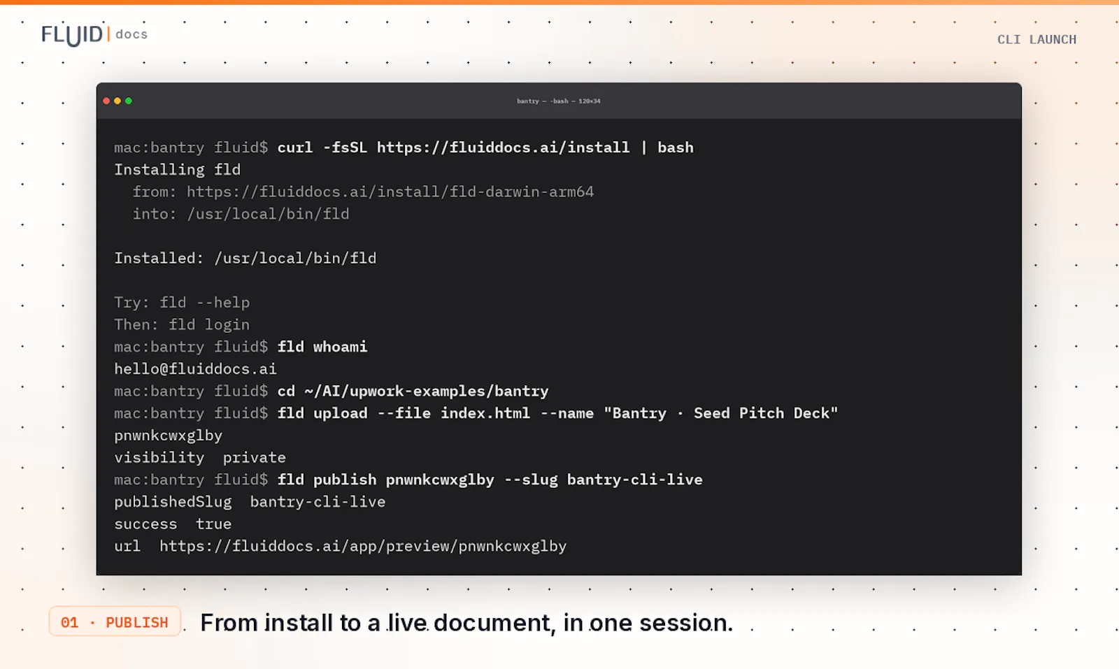FluidDocs CLI screenshot 2