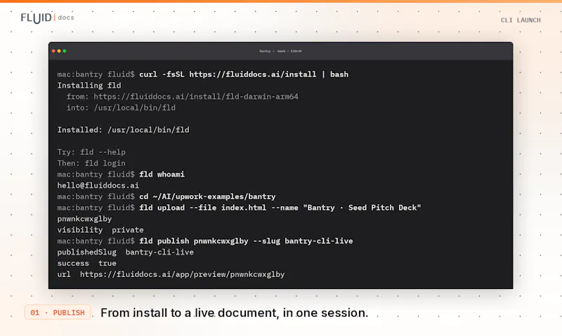 FluidDocs CLI screenshot 2