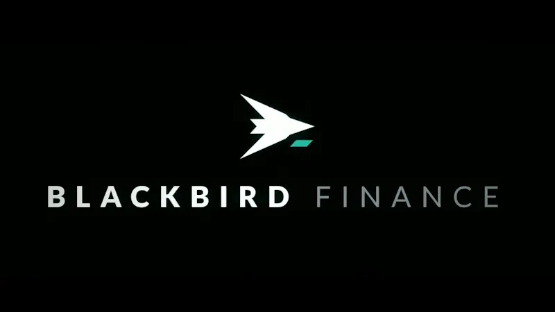 Blackbird Finance screenshot 1 (video preview)