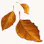 Red Leaves