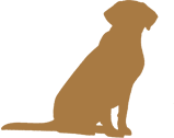 Hunting Companion - Best Kennel gallery image