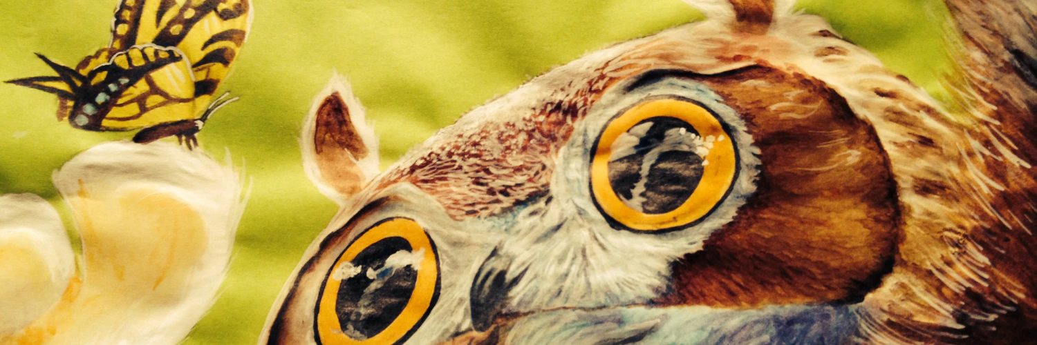 Kaili Kleemeier cover