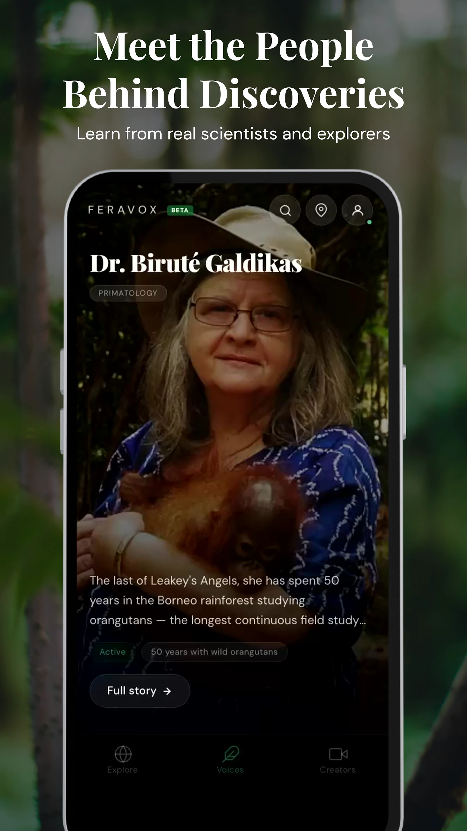 Feravox screenshot 6