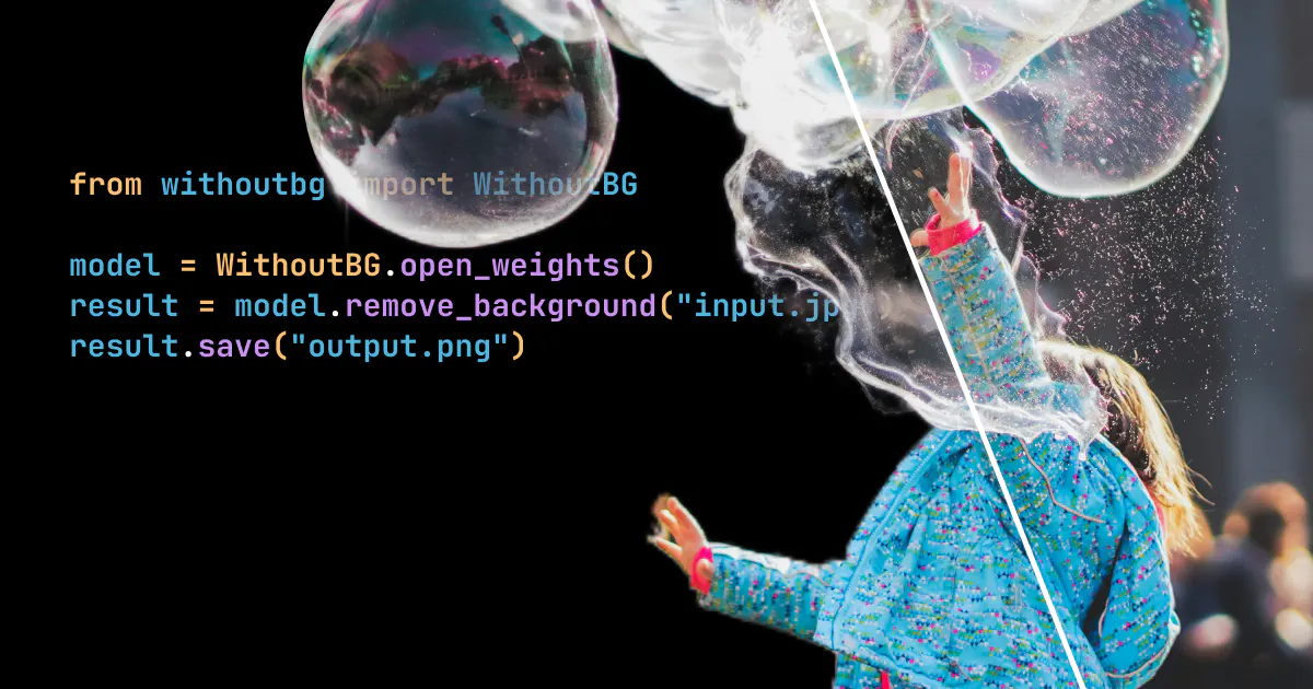 withoutBG Open Weights gallery image