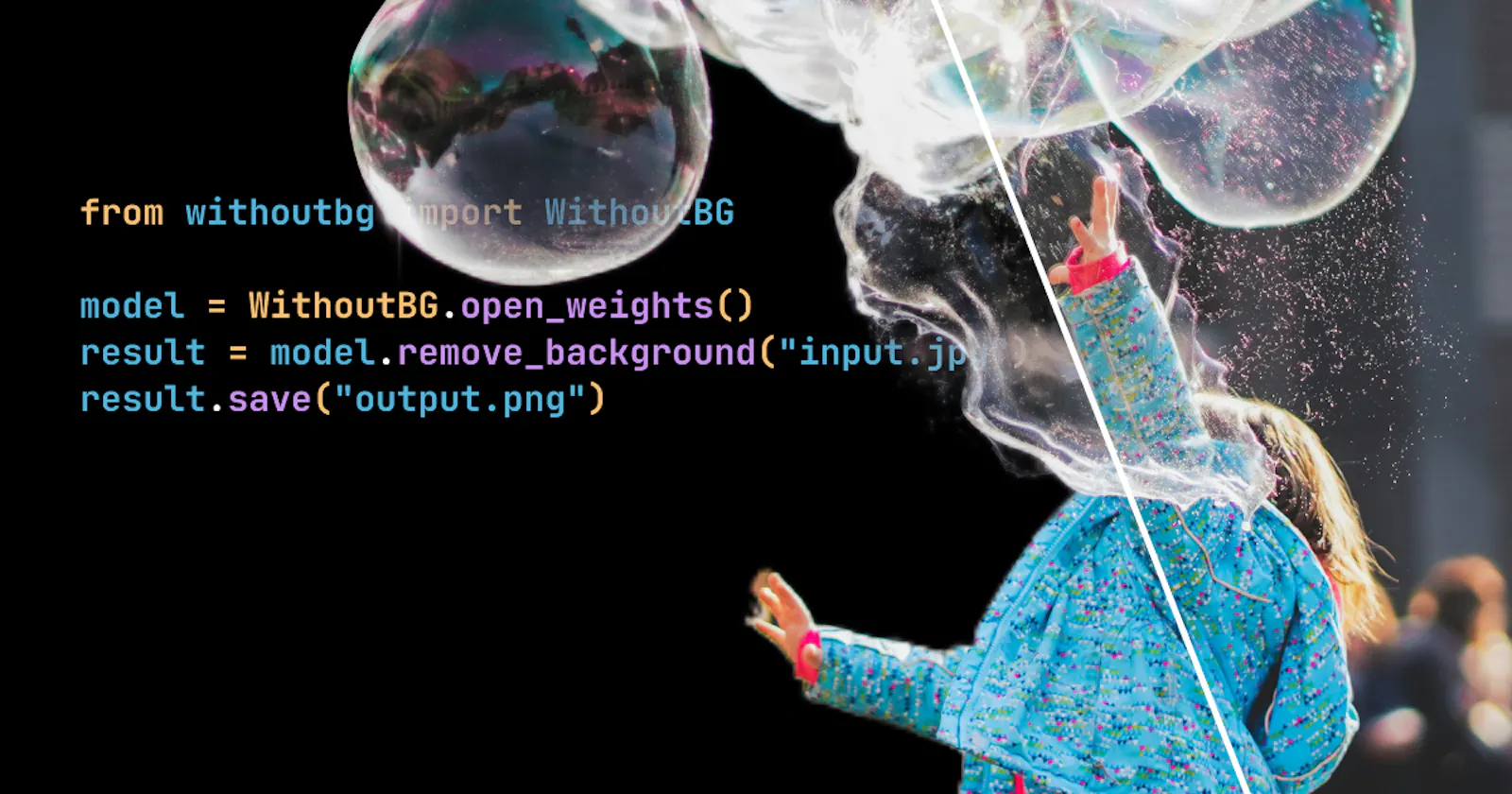 withoutBG Open Weights screenshot 1