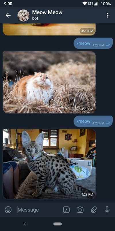 Meow Meow Bot gallery image