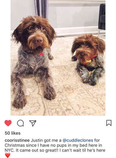 Cuddle Clones gallery image