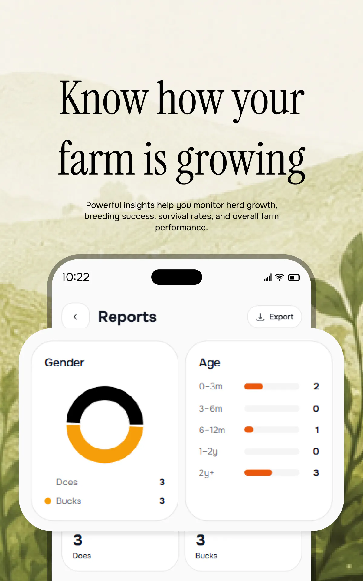 Famturf  gallery image
