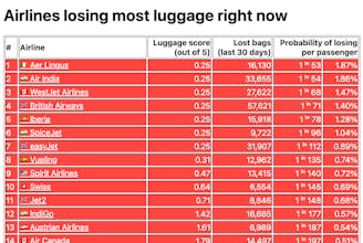 Luggage Losers gallery image