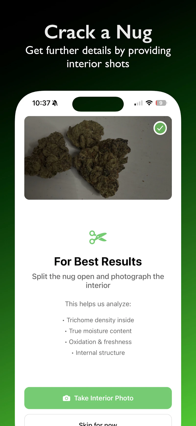 Kushy Scanner screenshot 3