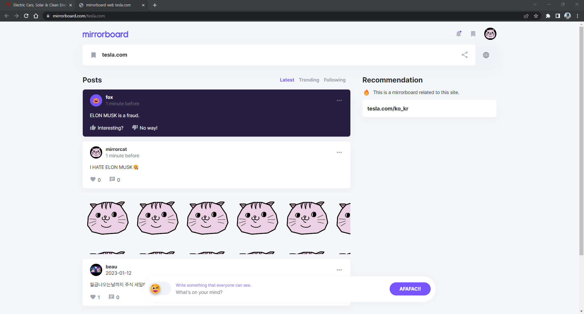 spiegelboard media 2