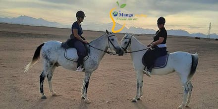 Hurghada Pyramiden Ausflug gallery image