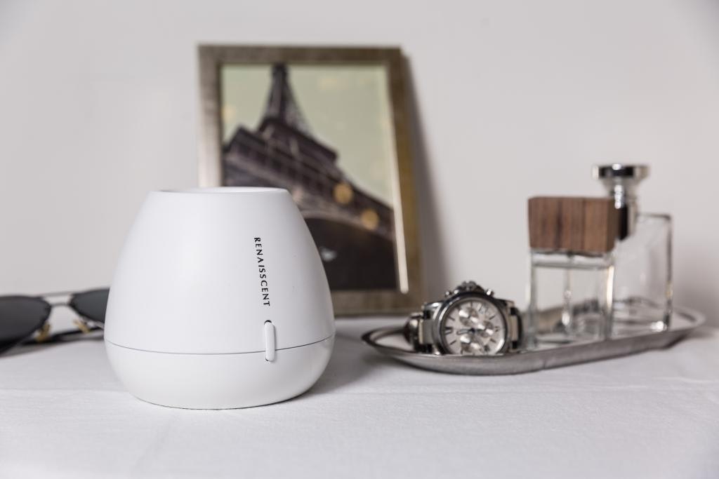 Renaisscent gallery image