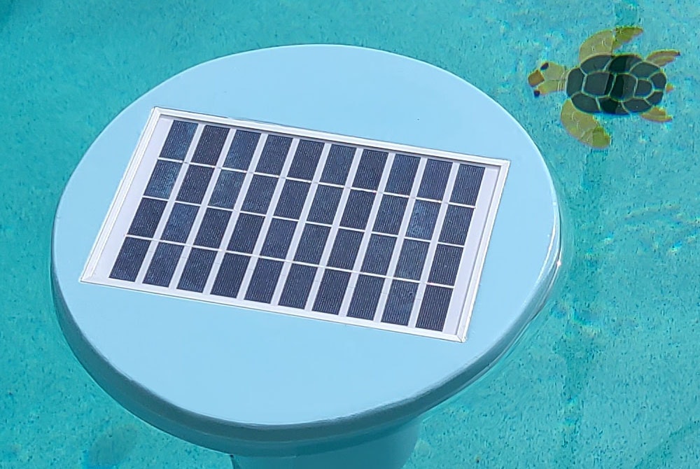 The Mussel gallery image