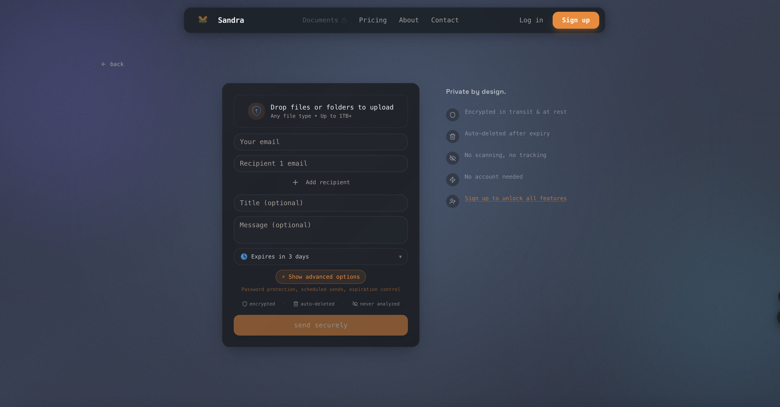 Sandra gallery image