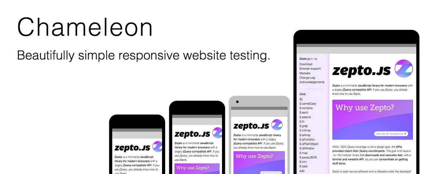 Chameleon gallery image