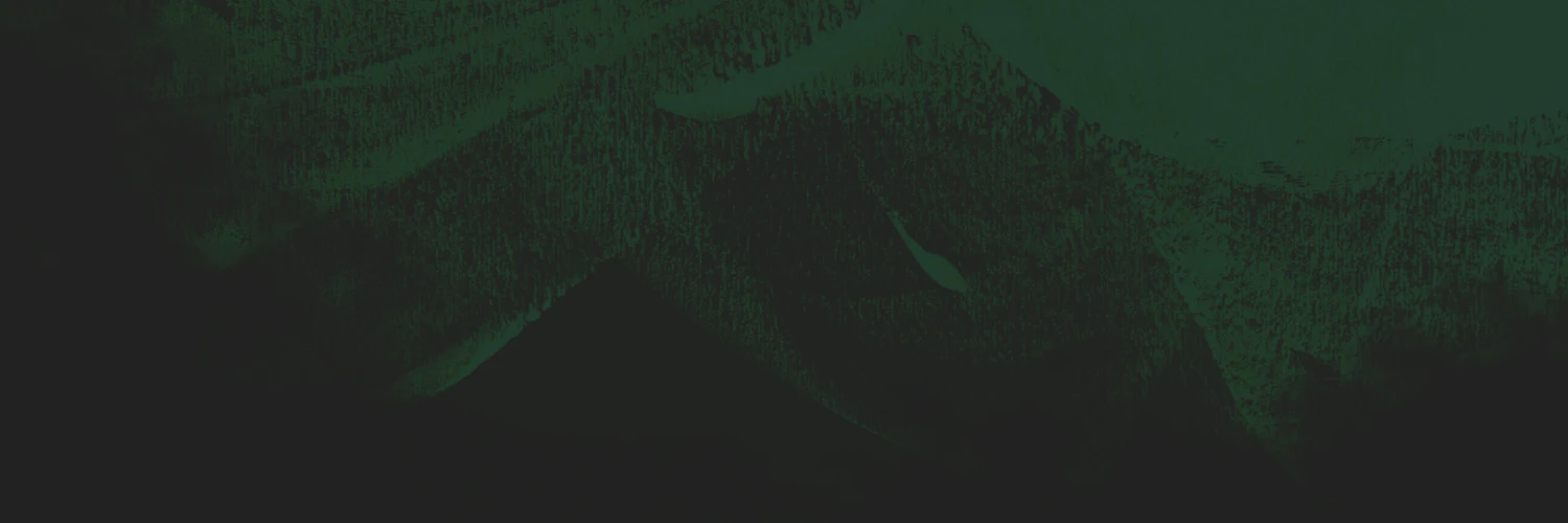 Kilian Valkhof cover