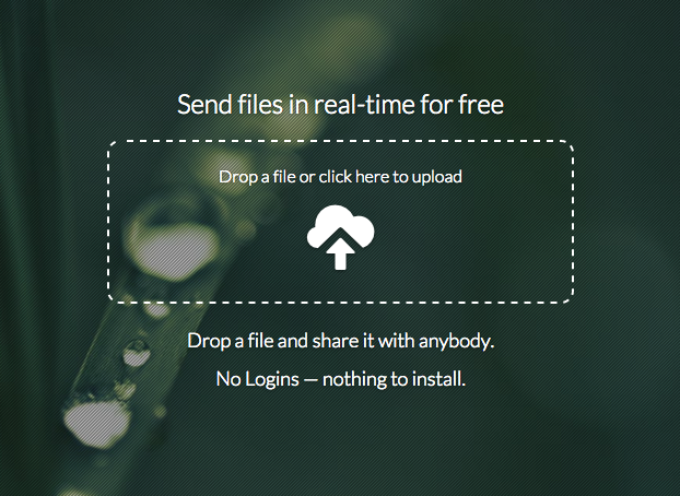 Dewdrop gallery image