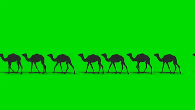 camelcamelcamel.com gallery image