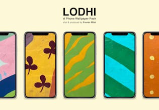Lodhi Wallpaper Pack gallery image