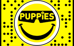 Puppies Make Me Happy media 1