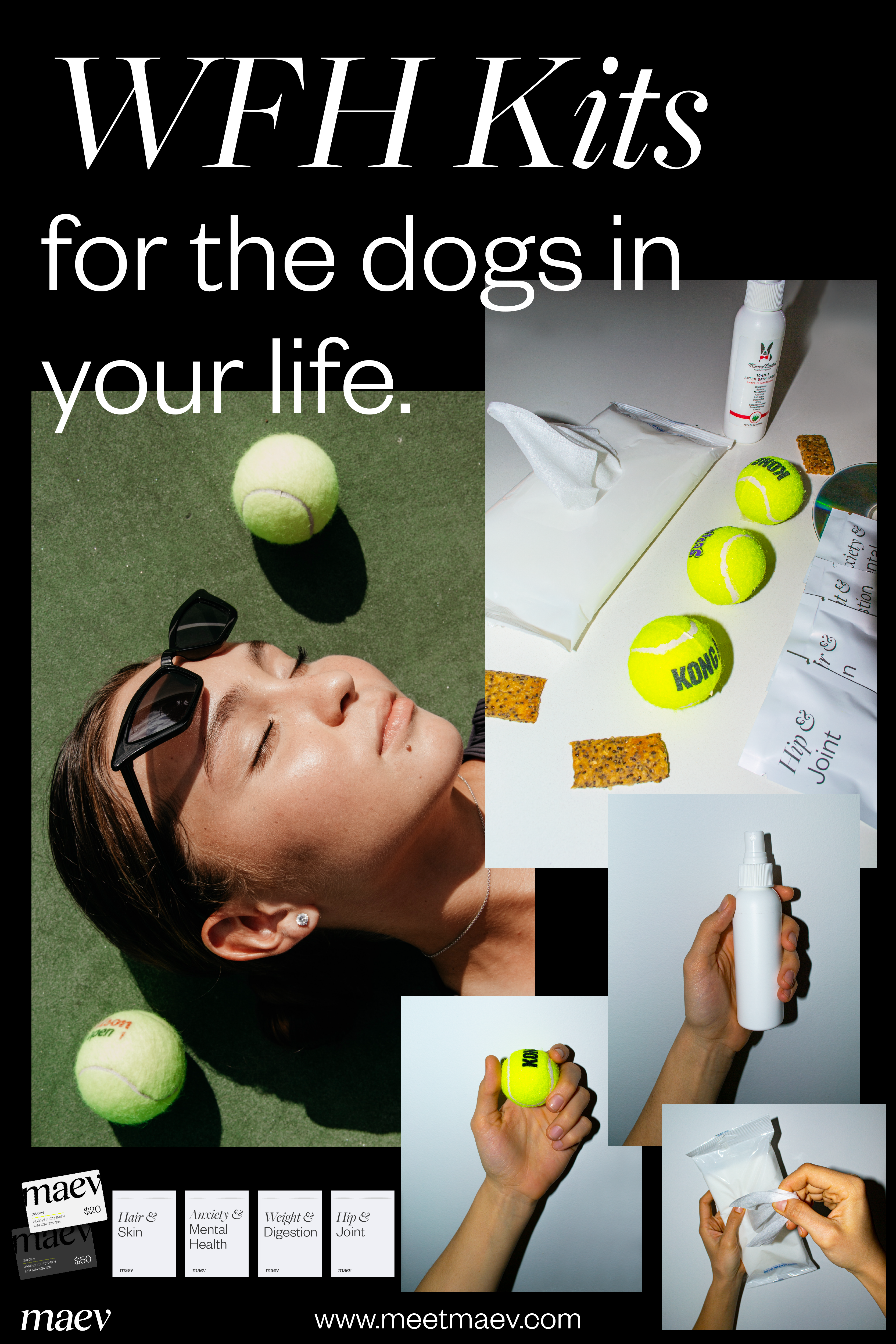 WFH Kit (For Dogs) gallery image