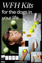 WFH Kit (For Dogs) gallery image
