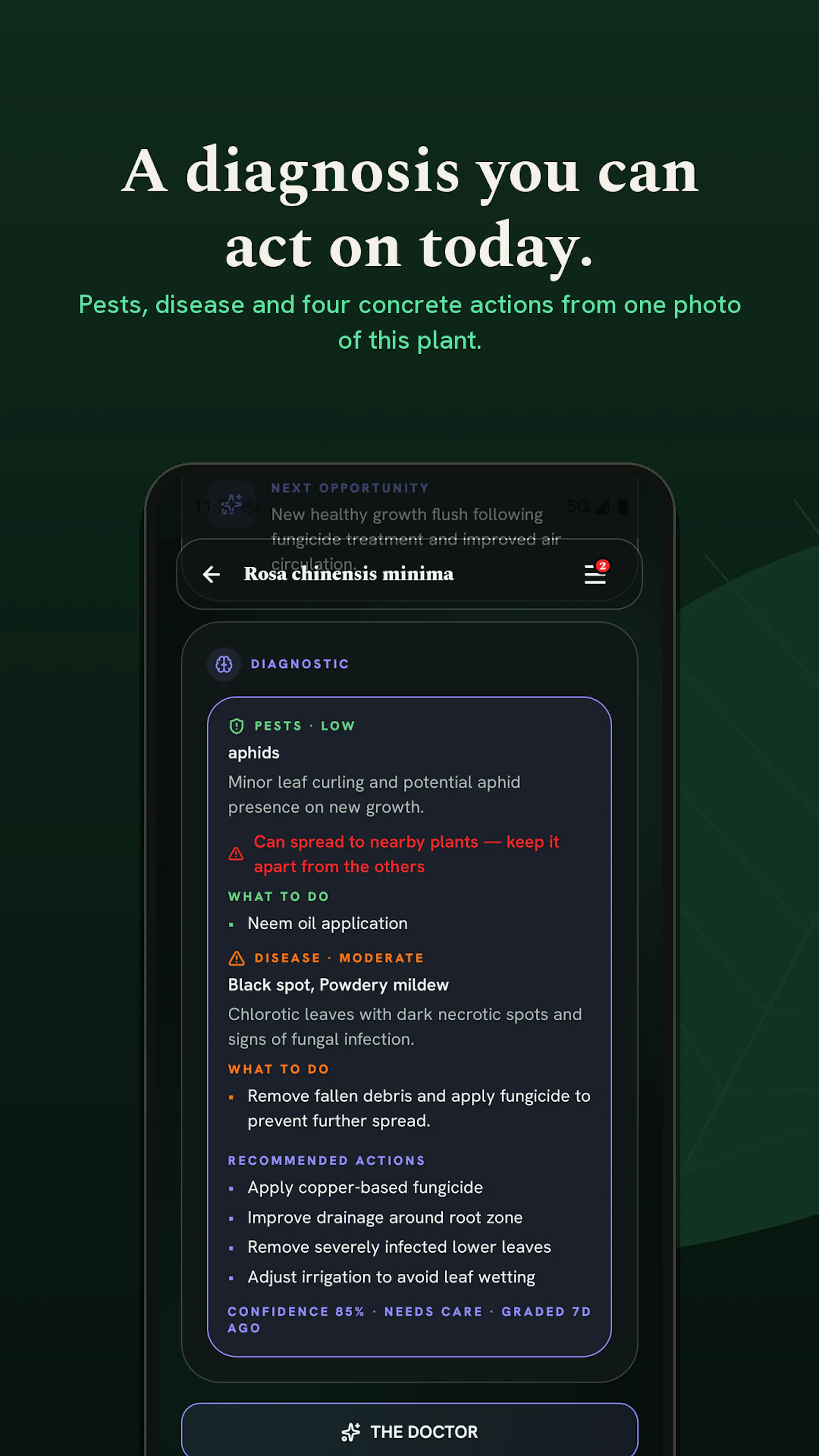 Botanical Legacy screenshot 11