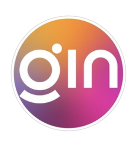 GIN X commuter&mountain e-bike 