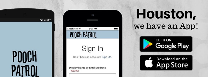 Pooch Patrol: Your Fitness Wolfpack gallery image