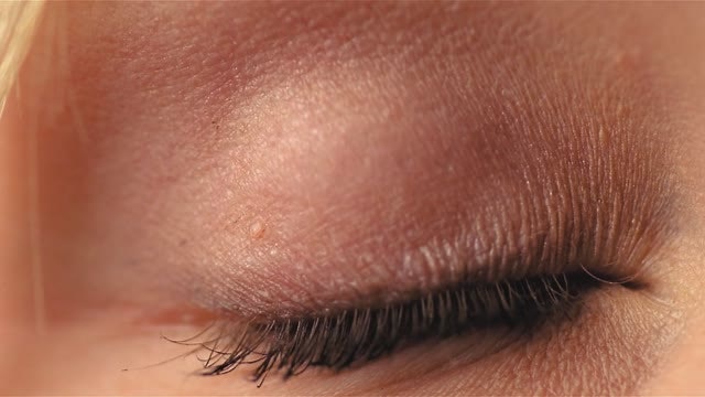 Free Stock Videos gallery image