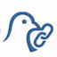 Pigeon Link