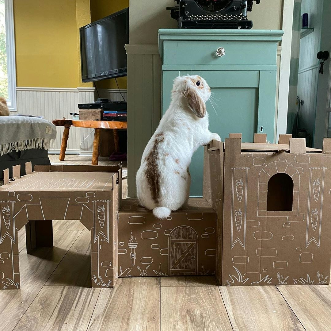 Bunny Medieval Castle gallery image