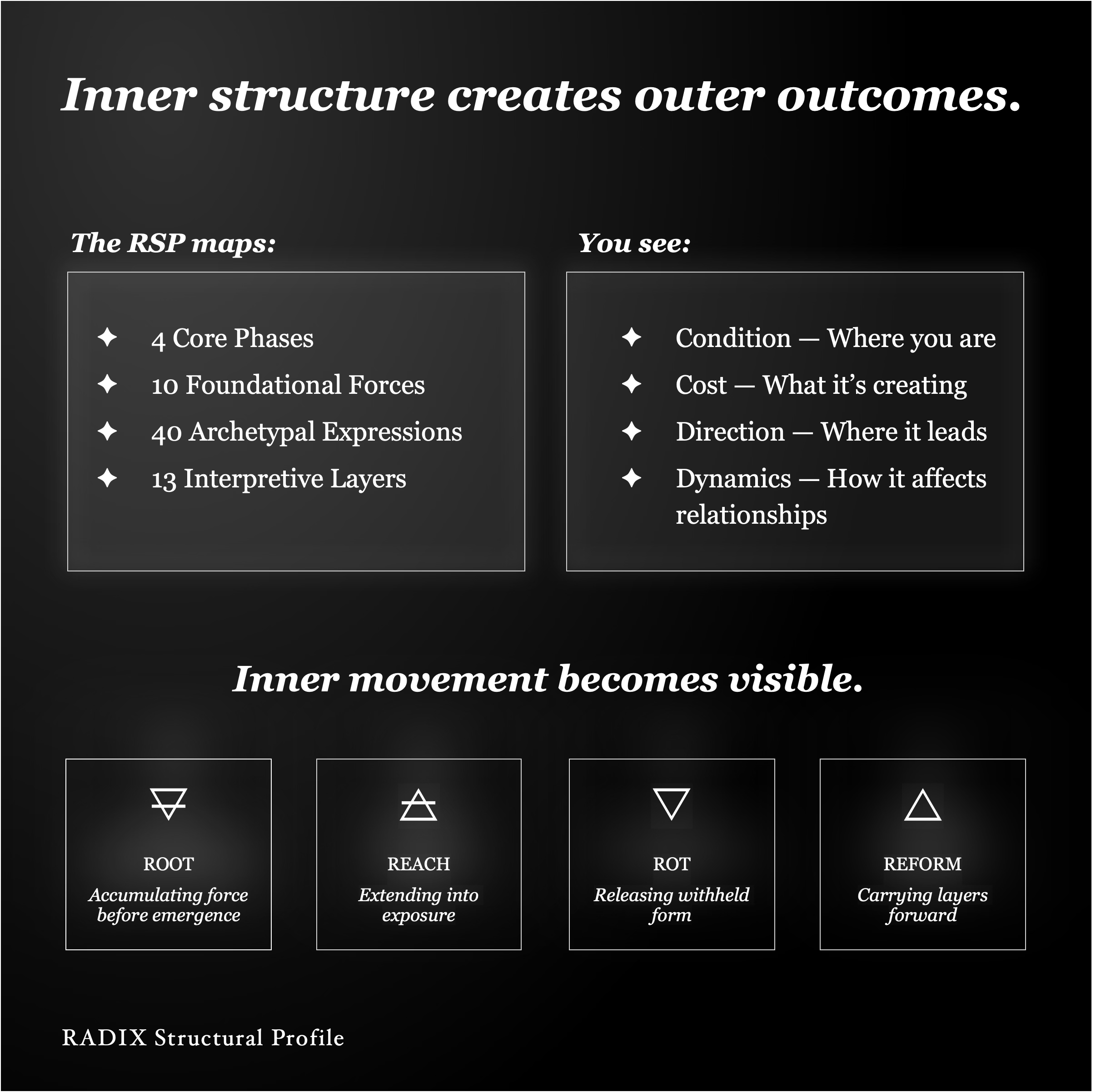 RADIX Structural Profile - Screenshot 3 showing product features and functionality