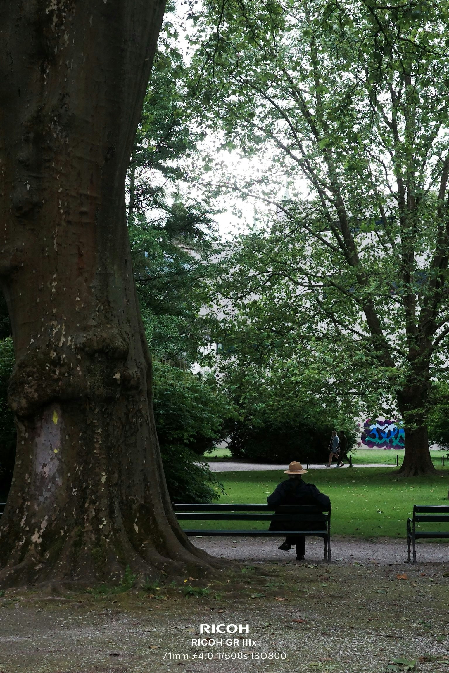 Reframe gallery image