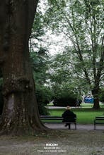 Reframe gallery image