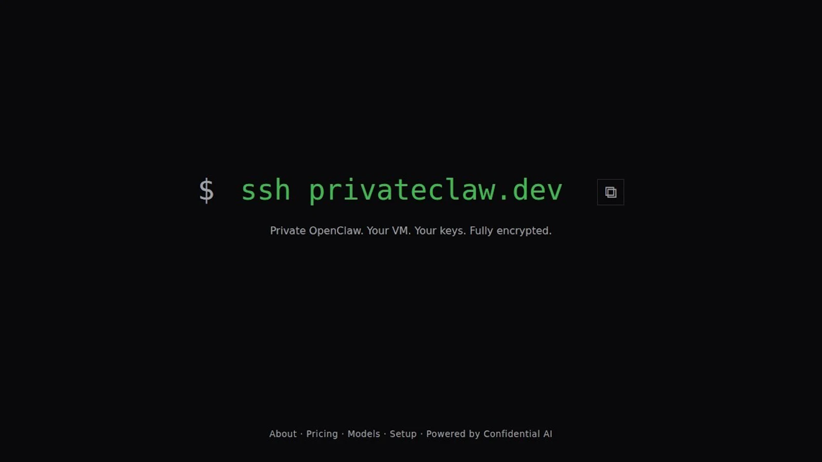 PrivateClaw screenshot 1 (video preview)