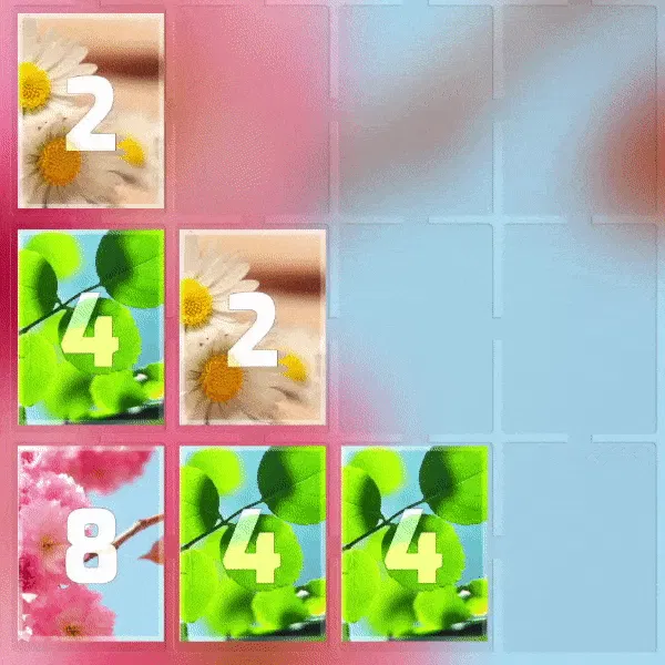 Collages 2048