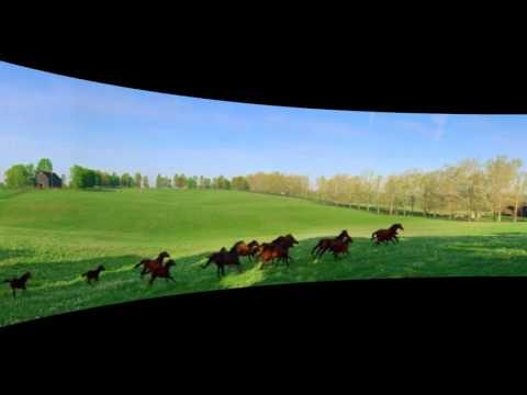 Scalable Display gallery image