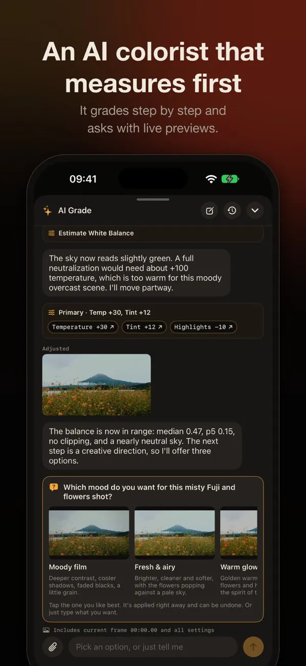 Develop Log: Color Grading gallery image