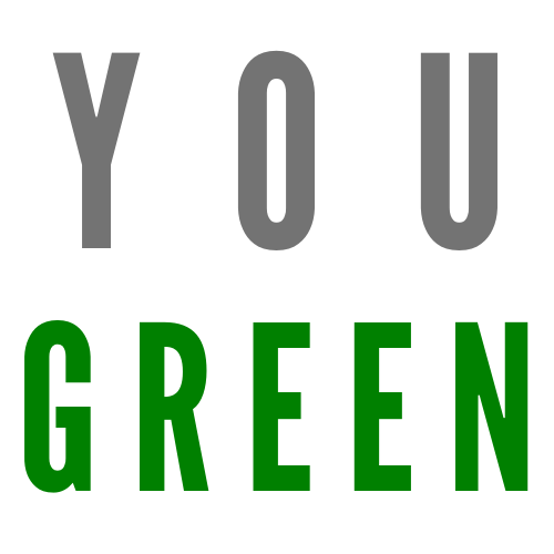 YouGreen-Save Planet one video at a time gallery image