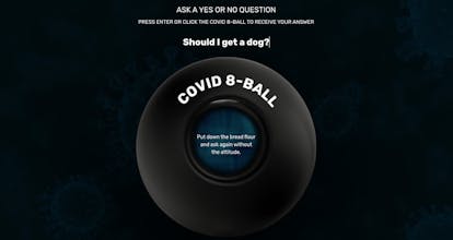 COVID 8-Ball gallery image