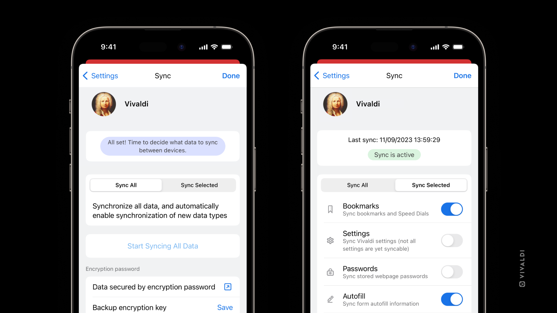 Navegador Vivaldi en iOS - Navegador web poderoso, personal y privado en iOS media 6