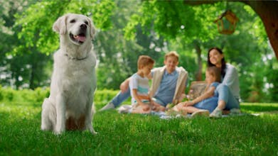 Findstory gallery image