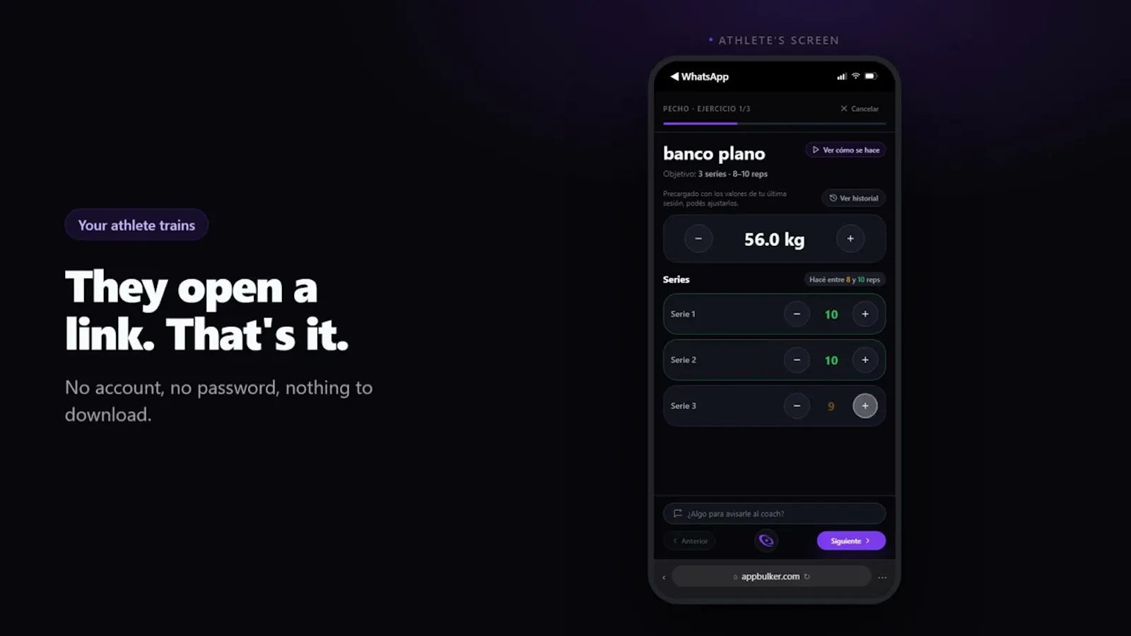 Bulker screenshot 1 (video preview)