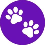 Petshot Pro - AI Pet... logo