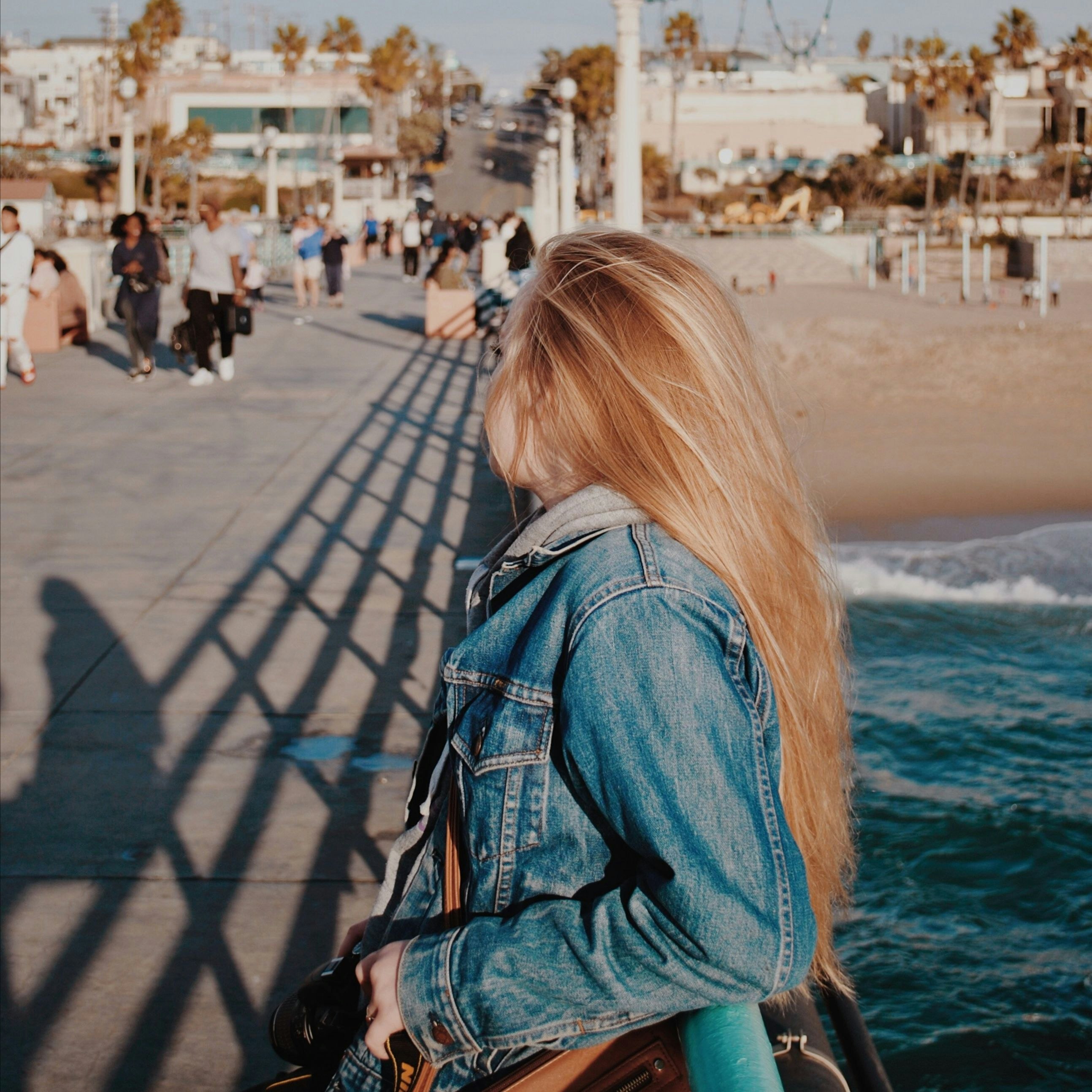 Rebutia gallery image