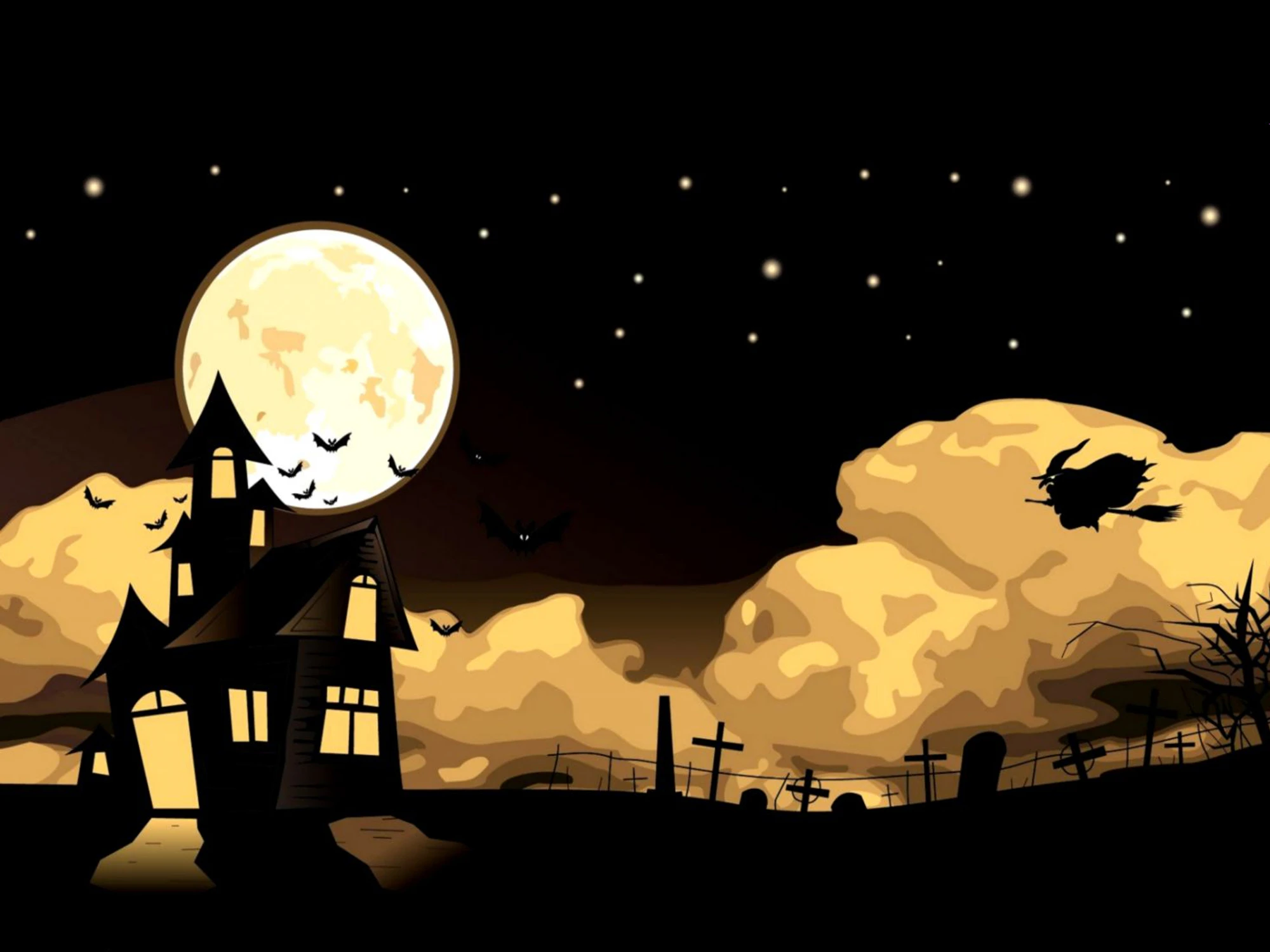 Mitch the Male Witch cover