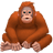 DataOrangutan