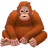 DataOrangutan